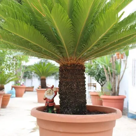 I Giardini Di Edicart
