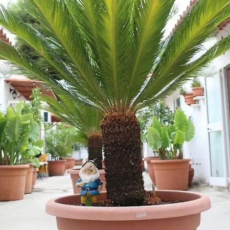 I Giardini Di Edicart Apartment Bari