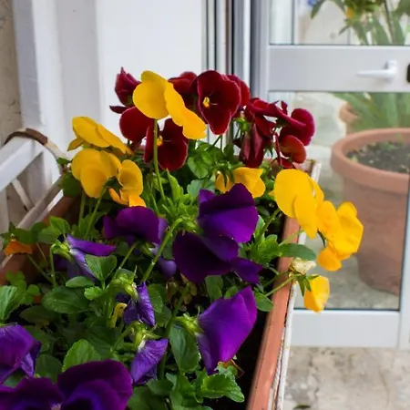 Lejlighed I Giardini Di Edicart
