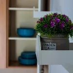 I Giardini Di Edicart Bari