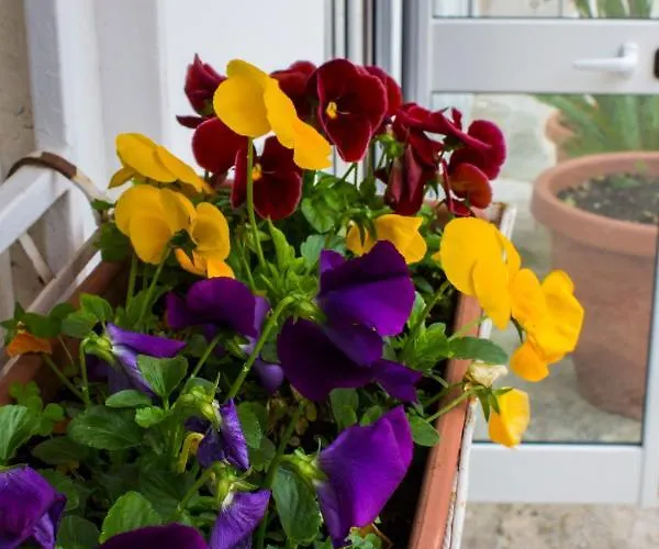 Apartman I Giardini Di Edicart